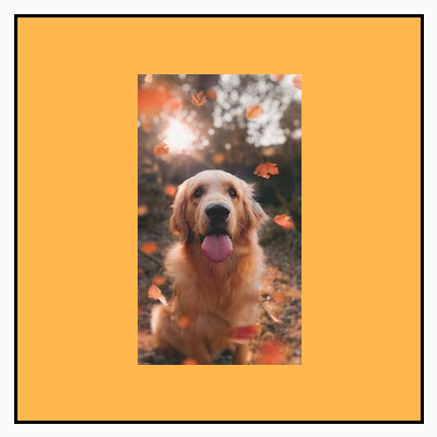 portrait_inside_small.png